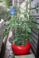 �z�[���n�C�|�j�J�@�ƒ�؉��~�j�g�}�g